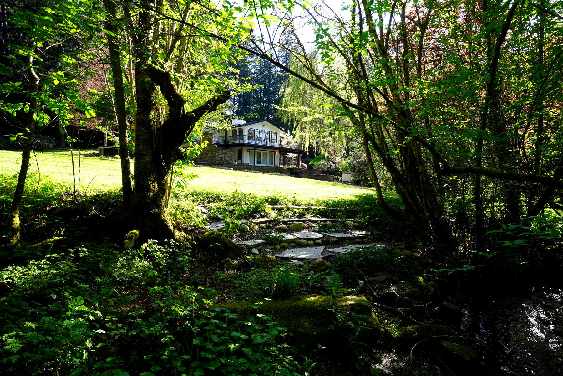 Stream running through the wooded backyard