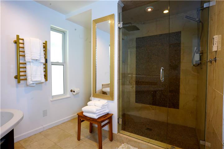Primary bath glass shower