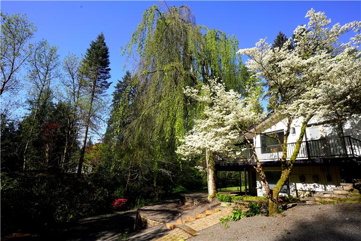 Little Bear Rental | 4-Bedroom Forest Retreat with Swim Spa in ...