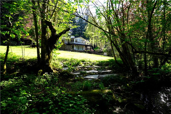 The backyard stream